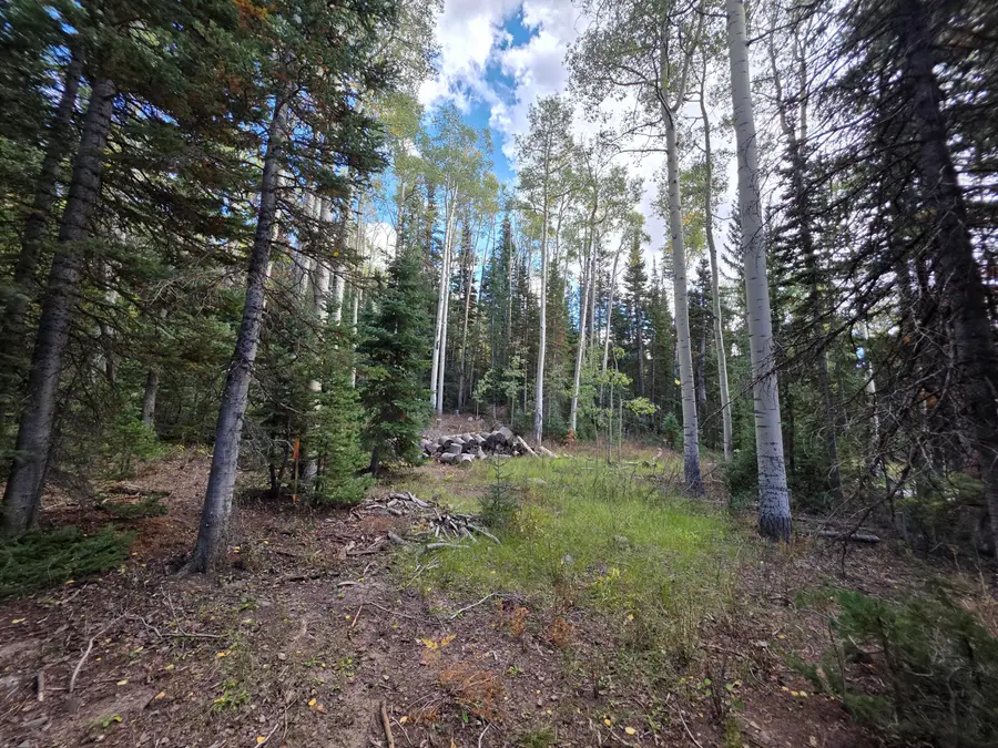 214 E Deer Trail Rd, Brian Head, UT 84719 - #2
