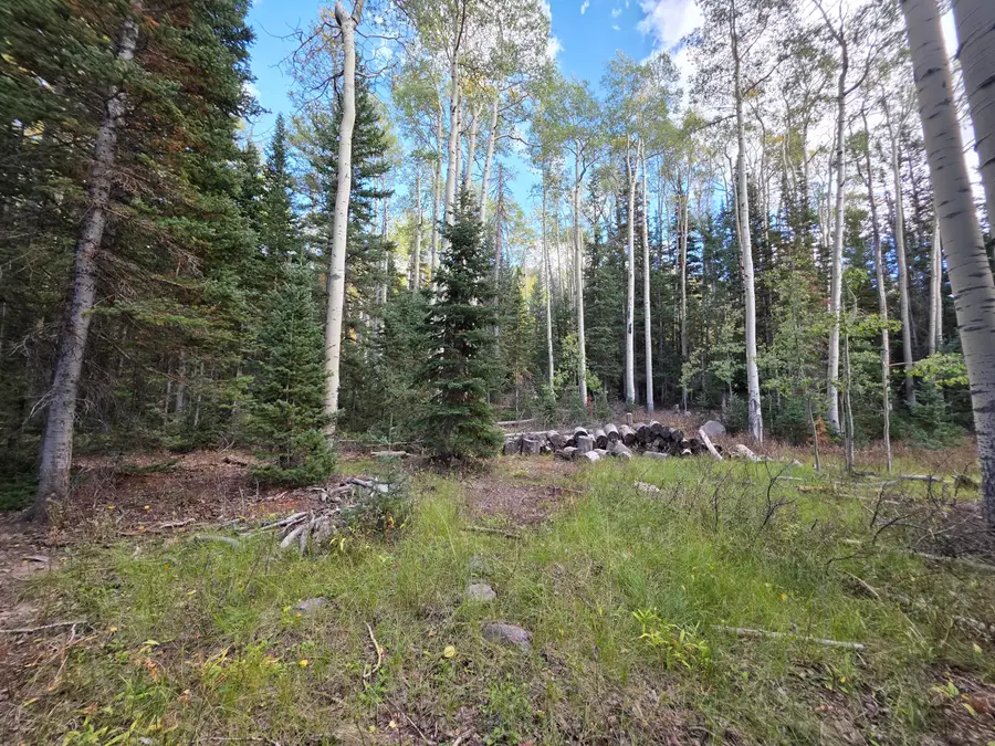 214 E Deer Trail Rd, Brian Head, UT 84719 - #3