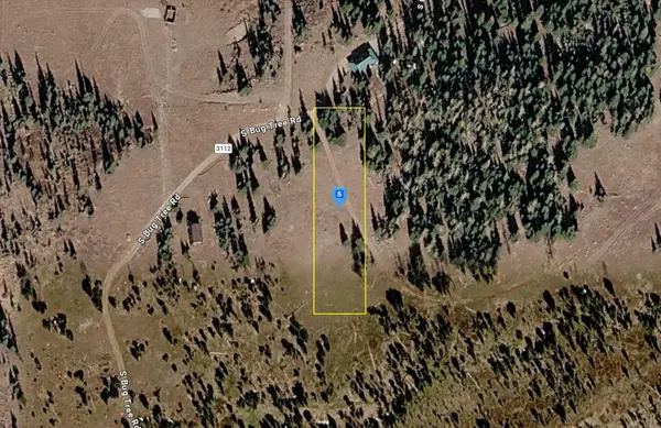 1955 S Bug Tree Rd, Brian Head, UT 84719