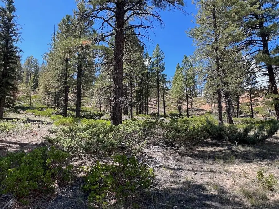 Elk Ridge Estates #Lot  5 Phase 6, Alton, UT 84710 - #3