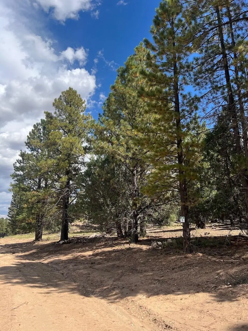 Elk Ridge Estates #Lot  14 Phase 6, Alton, UT 84710 - #1