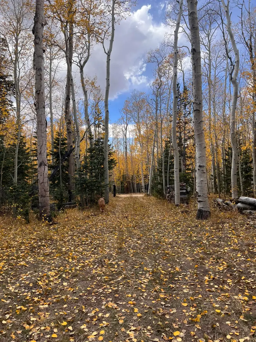 1022 N Dry Lakes Rd, Brian Head, UT 84719 - #2