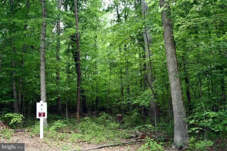 Glenwood Ln, Orange, VA 22960 - #1