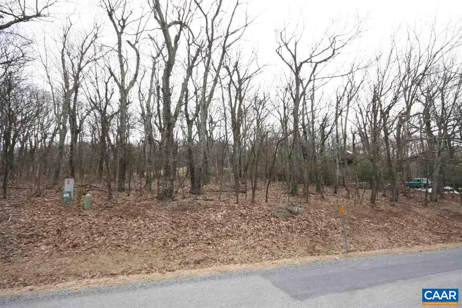 355 Devils Knob Loop, Wintergreen, VA 22958 - #3