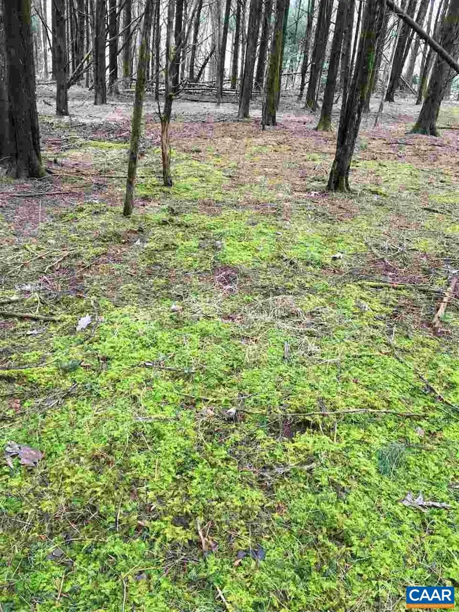 503 Garden Ln, Palmyra, VA 22963 - #3