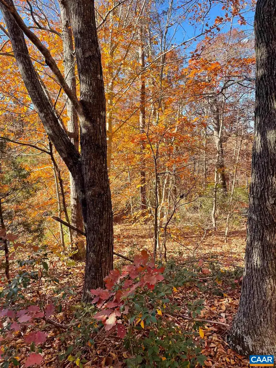 19 Chickasaw Pl, Palmyra, VA 22963 - #3