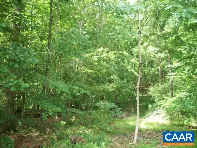 Lot 21 Woodthrush Ln, Barboursville, VA 22923 - Image #3