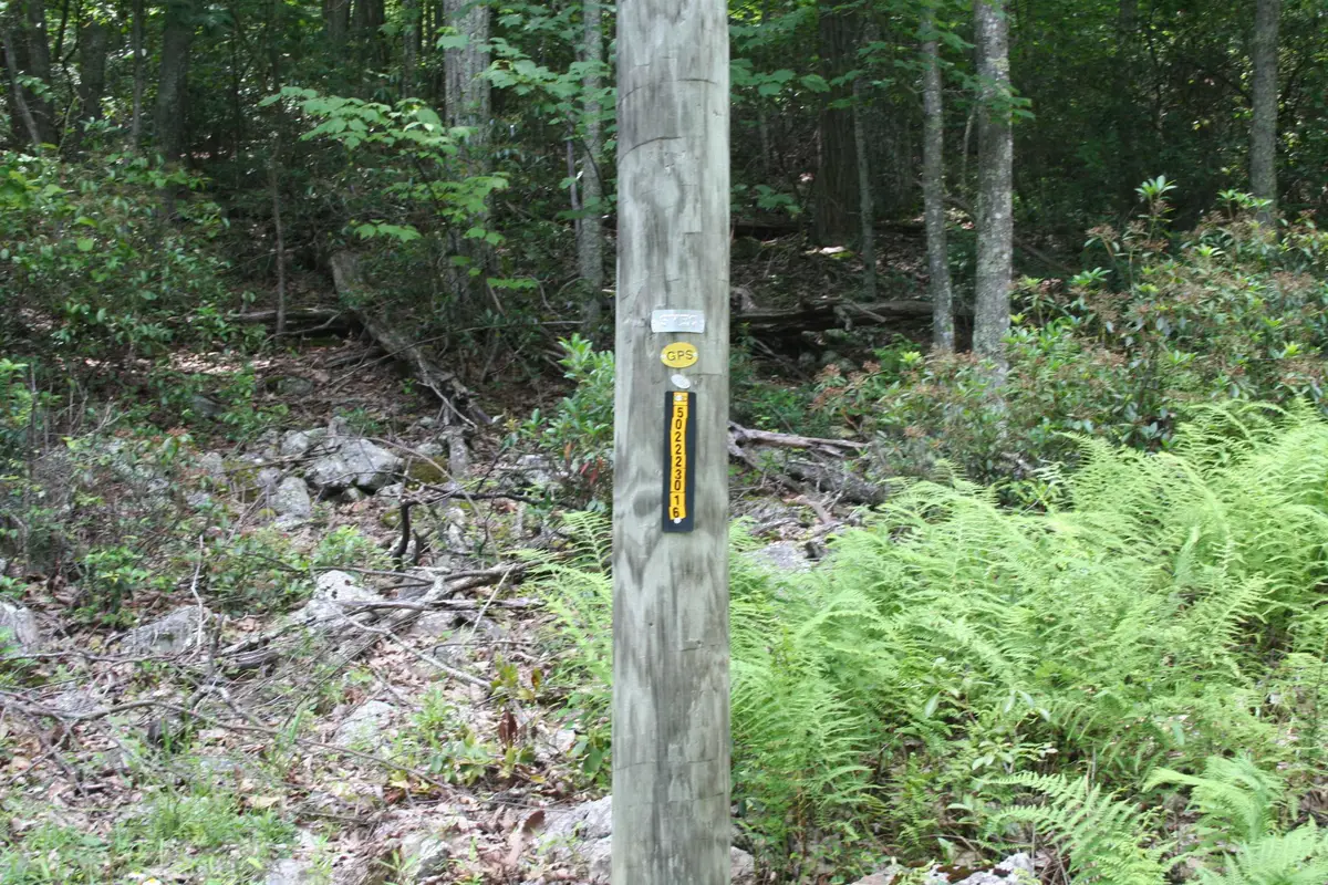 High Valley South, Monterey, VA 24465 - Image #1