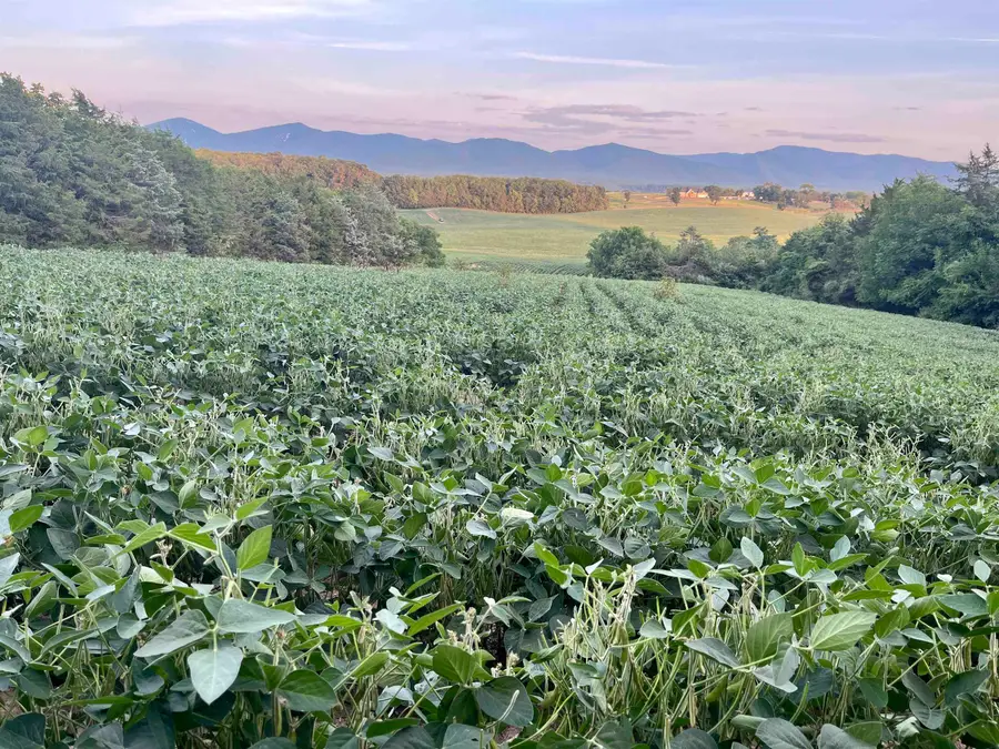 TBD Doe Hill Rd, Port Republic, VA 24471 - Image #3