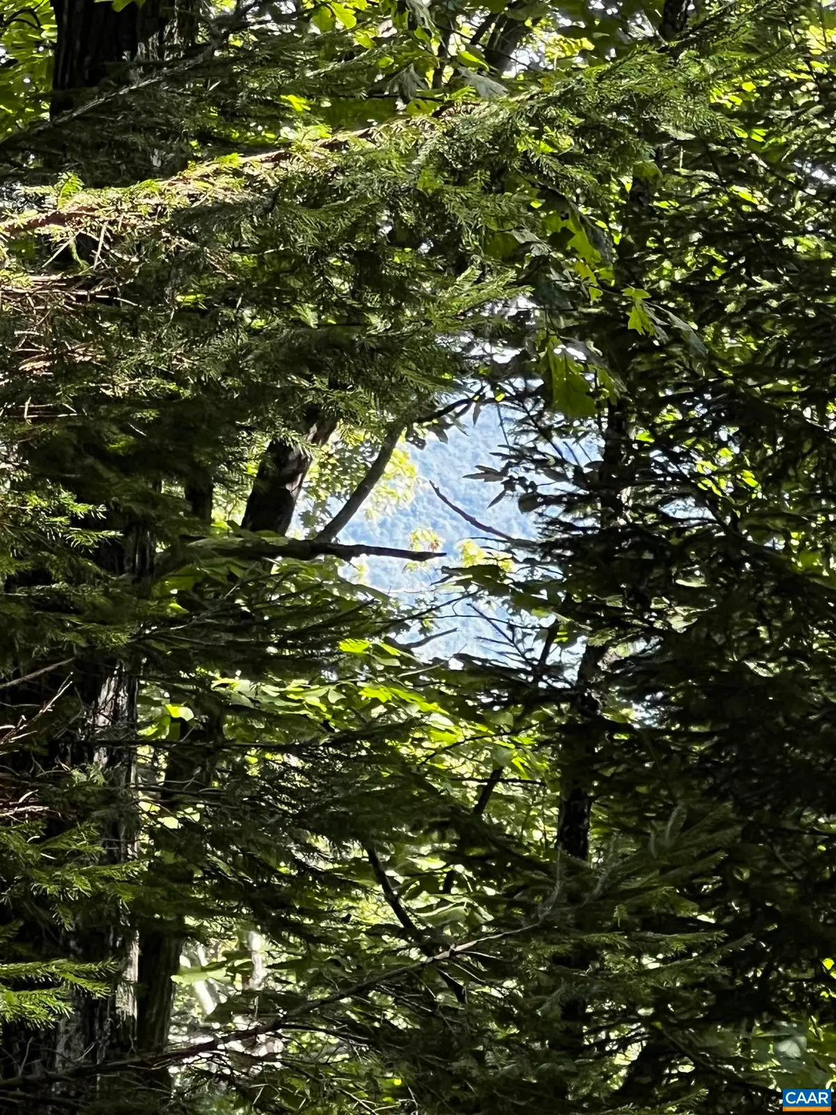 TBD Shamokin Springs Trl, Wintergreen Resort, VA 22967 - Image #1