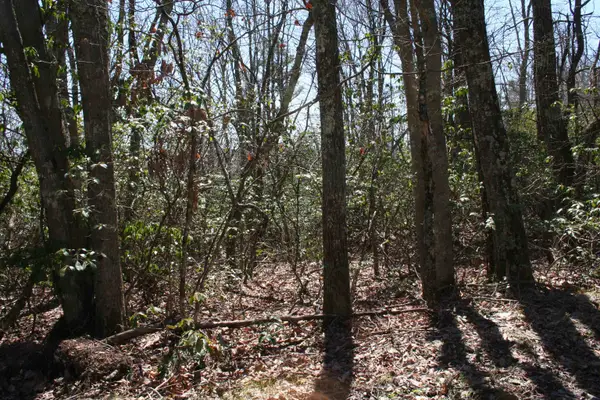 TBD Summit Dr. N Summit Dr, MONTEREY, VA 24465