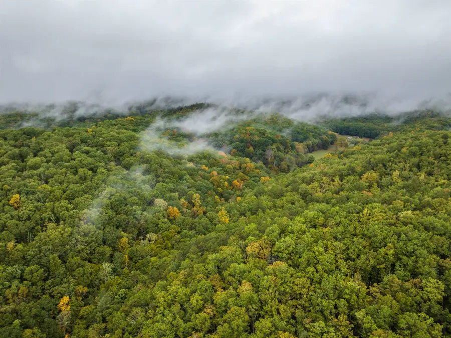 TBD Whippoorwill Ln, Monterey, VA 24465 - Image #3