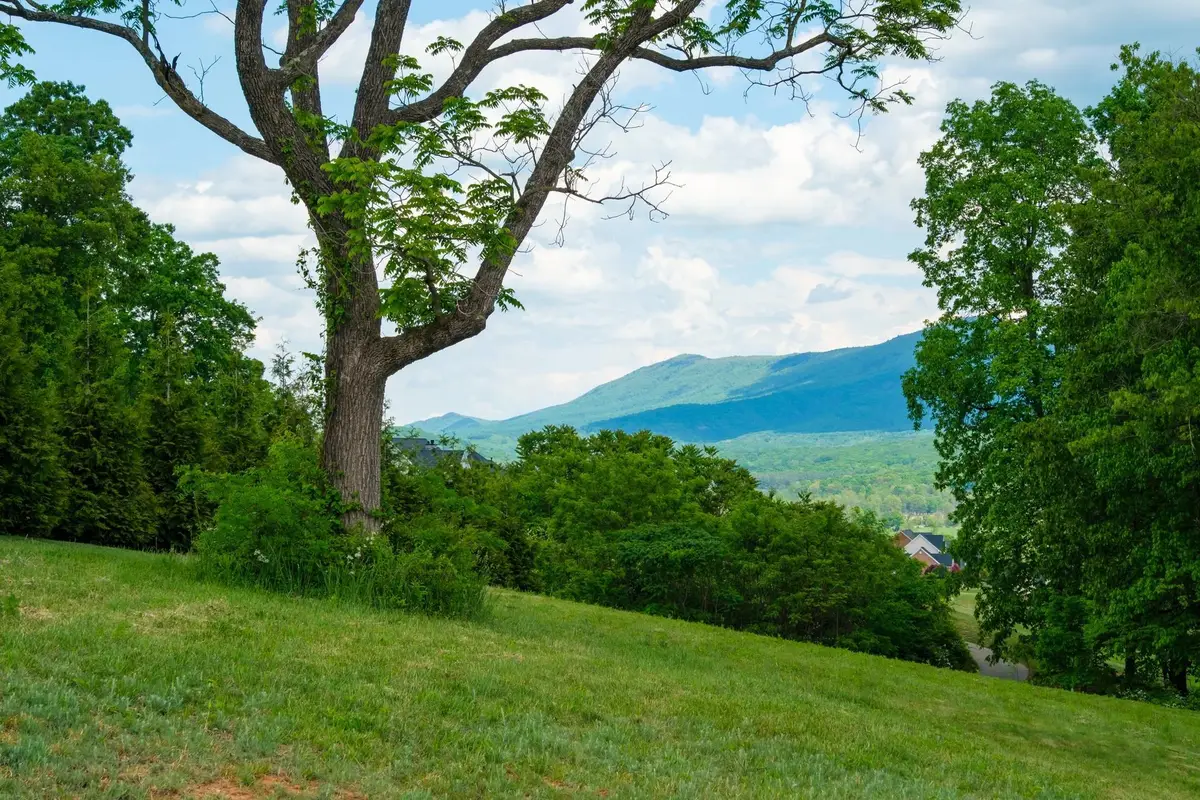 120 Keswick Ct, Massanetta Springs, VA 22801 - Image #1