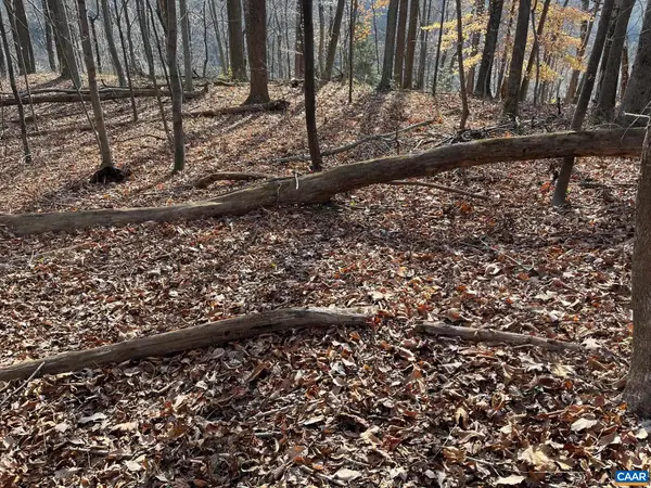 Monacan Trail Rd, COVESVILLE, VA 22931