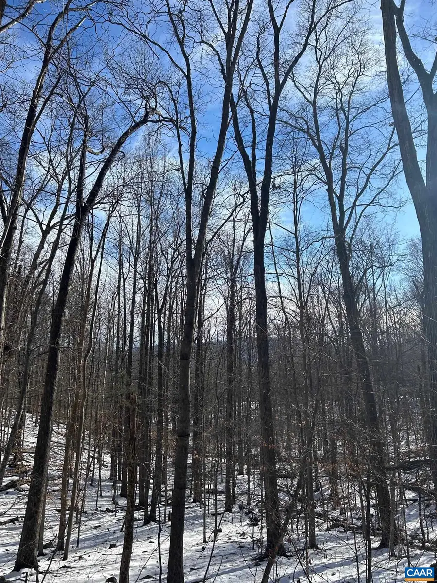 0 Stone Chimneys Rd, Wintergreen, VA 22958 - Image #2