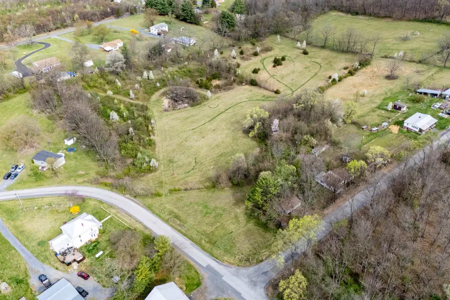 12039 Hupp Rd, Broadway, VA 22815 - #2