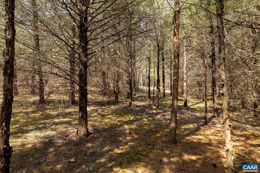 1280 Jones Overlook, Howardsville, VA 24562 - #3