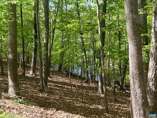 69 Laguna Rd, PALMYRA, VA 22963