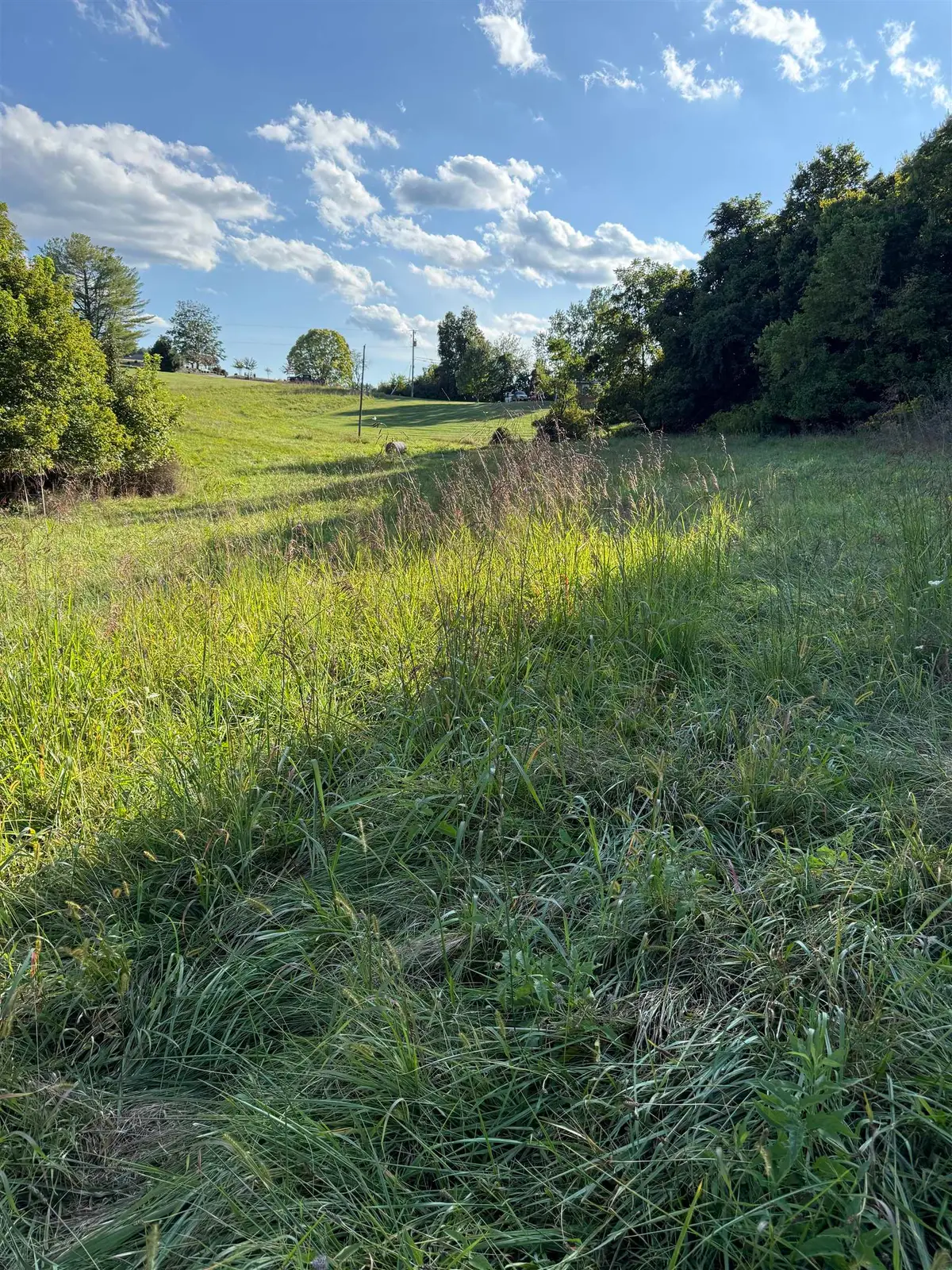 TBD Earhart Ln, Verona, VA 24482 - Image #1