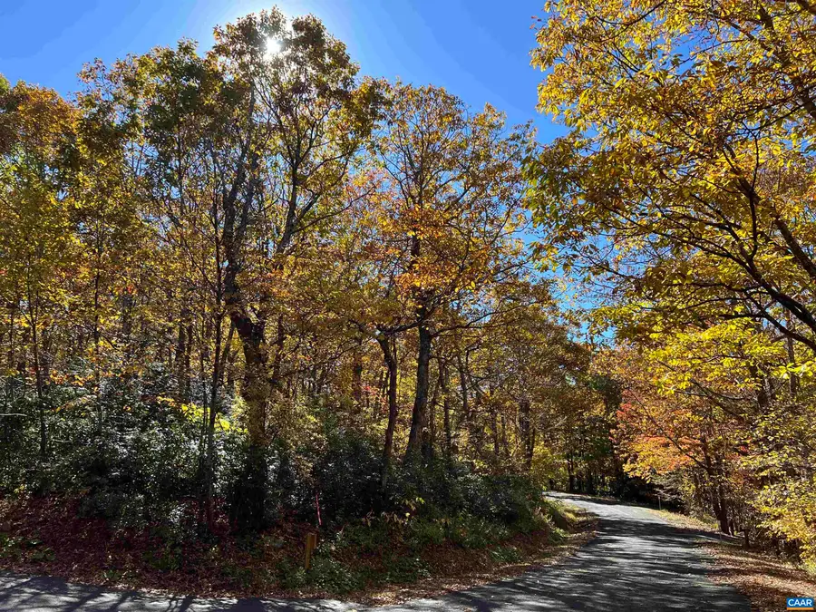 62 Split Rock Trl, Wintergreen Resort, VA 22967 - #2