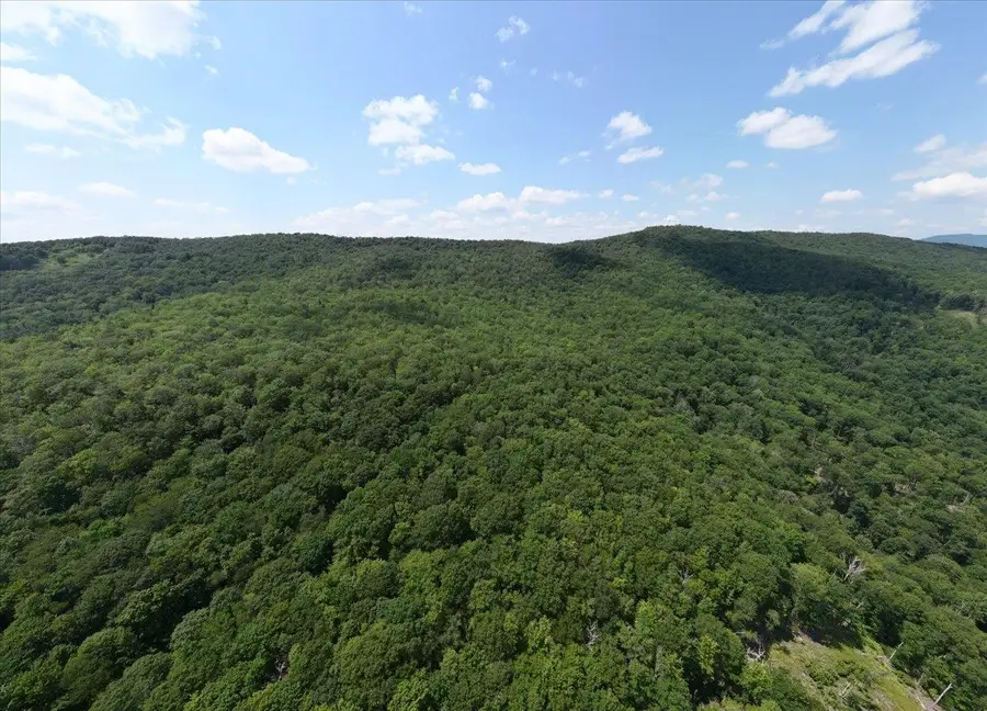 TBD Halterman Hollow Ln, Monterey, VA 24465 - Image #3