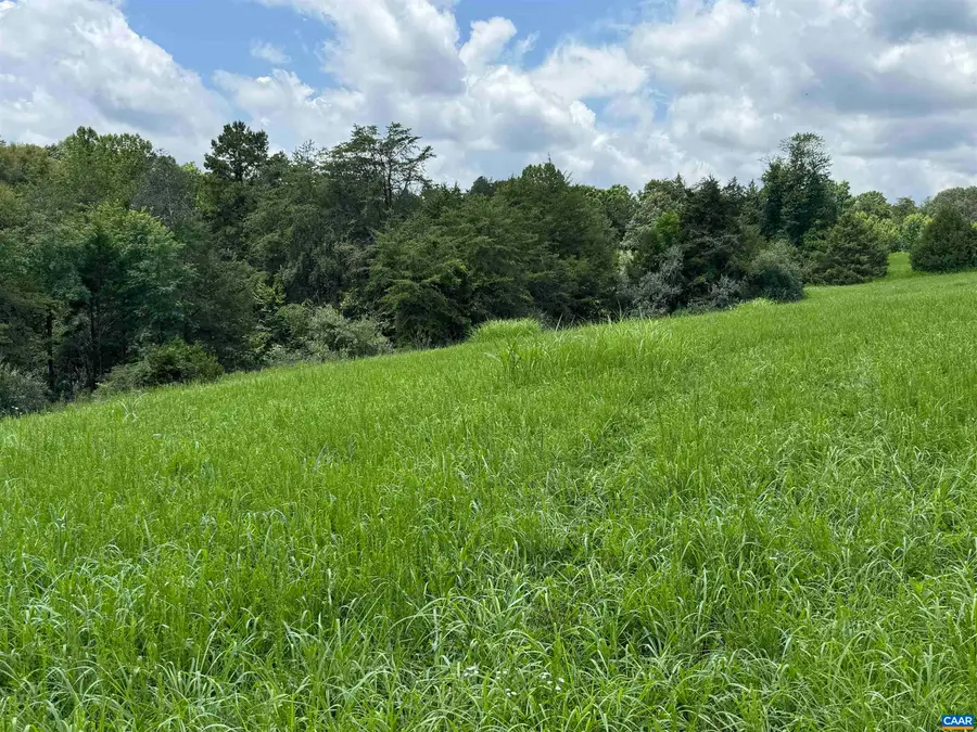 TBD Fishpond Rd, Howardsville, VA 24562 - #2