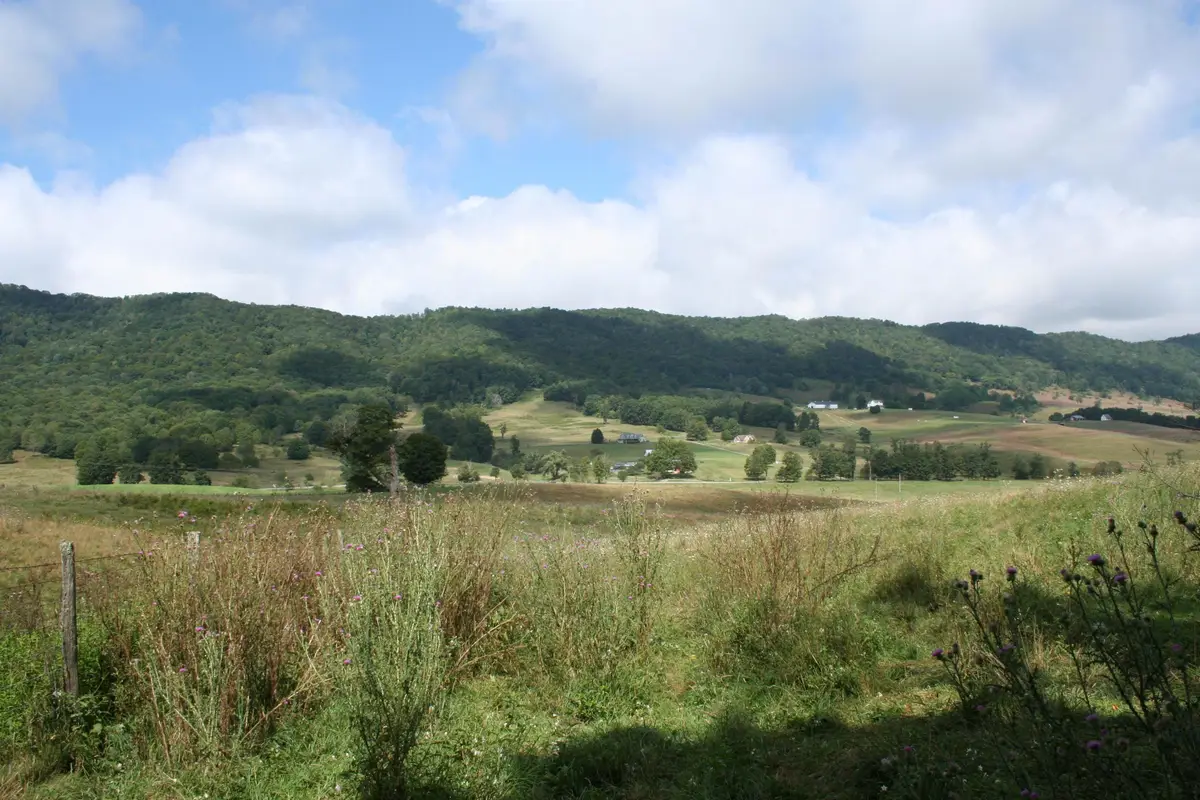 TBD Mill Gap Rd, Monterey, VA 24465 - Image #1