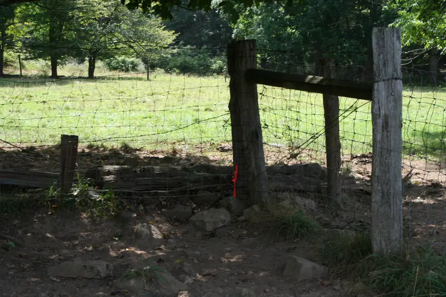 TBD Mill Gap Rd, Monterey, VA 24465 - Image #3