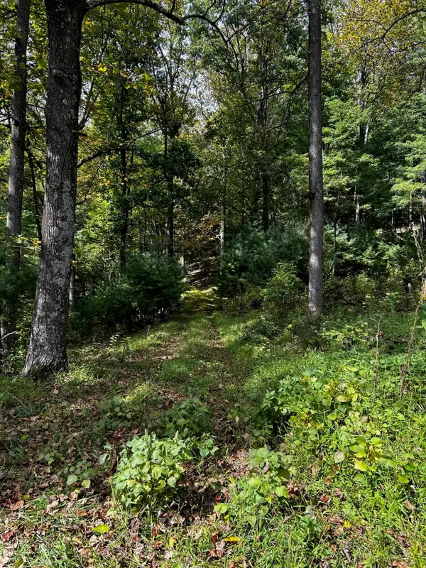 Rocky Branch Rd, LURAY, VA 22835