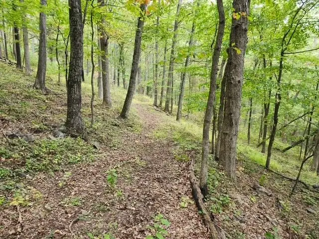 Rocky Branch Rd, Luray, VA 22835 - #2