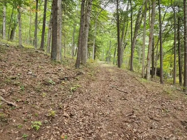 Rocky Branch Rd, Luray, VA 22835 - #3