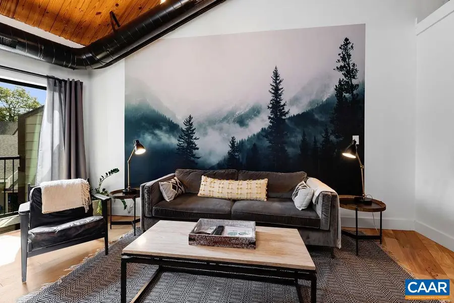 163 Mountain Inn Condos, Wintergreen Resort, VA 22967 - #3