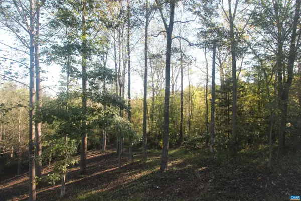 TBD Batesville Rd, AFTON, VA 22920