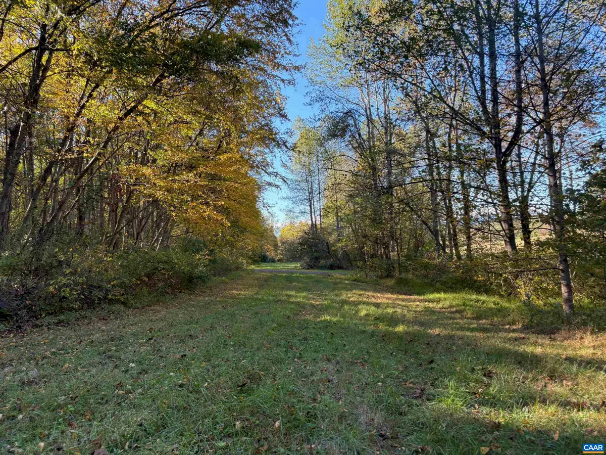 Lot E, TM 24-30 W Hoover Rd, Reva, VA 22735 - #1