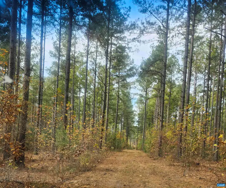 0 Johnson Rd, Mineral, VA 23117 - Image #3