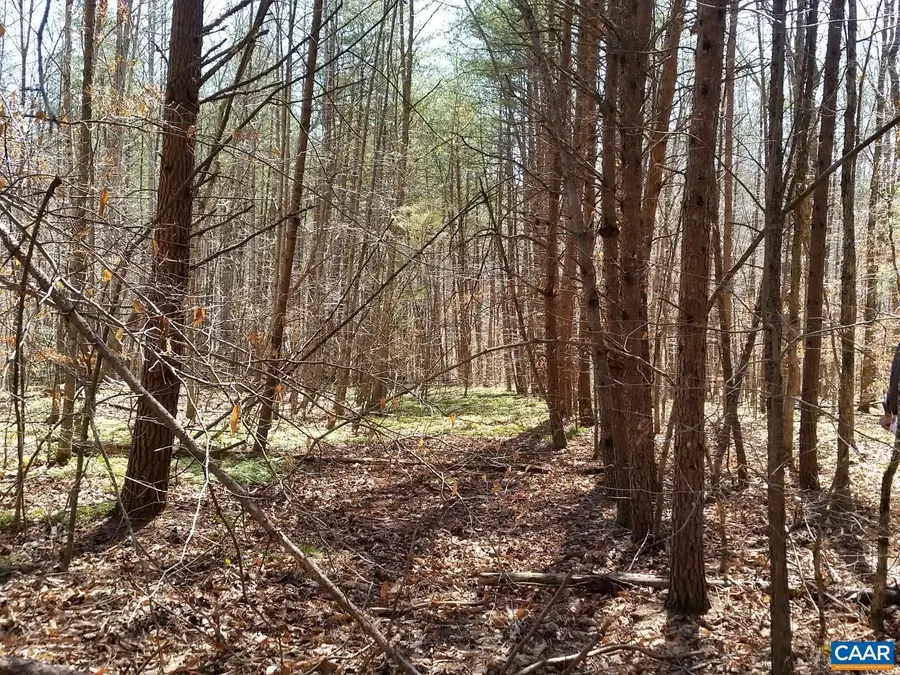 2647 Penny Ln, Charlottesville, VA 22901 - #2