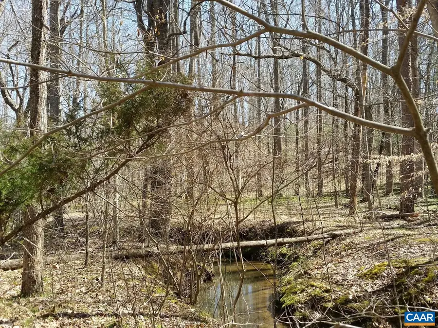 2647 Penny Ln, Charlottesville, VA 22901 - #3