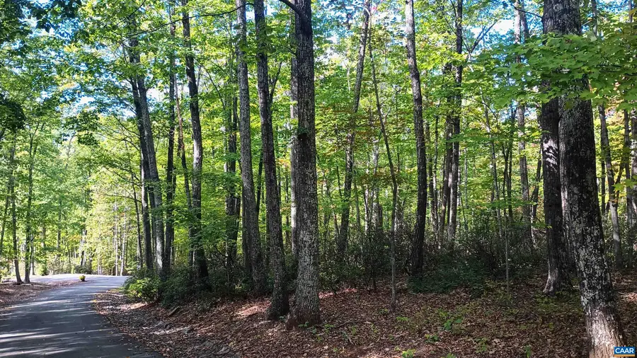 0 Oakcrest Ln, Nellysford, VA 22958 - Image #3