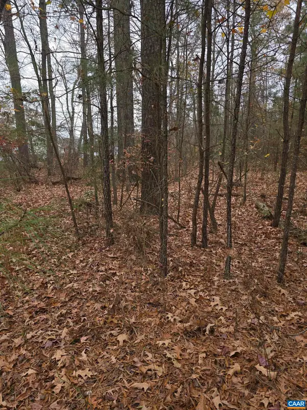 19 Evergreen Dr, COLONIAL BEACH, VA 22443