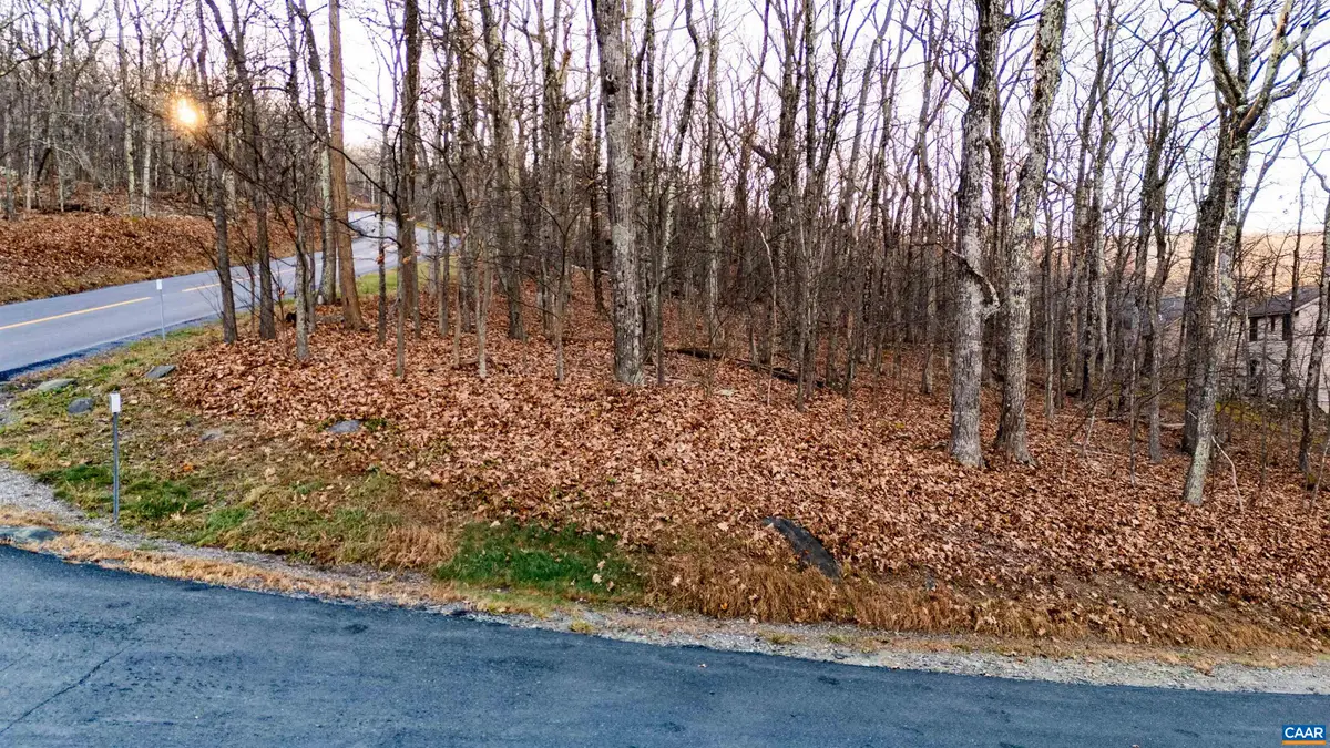 23 North Rock Tree Ln, Wintergreen Resort, VA 22967 - Image #1