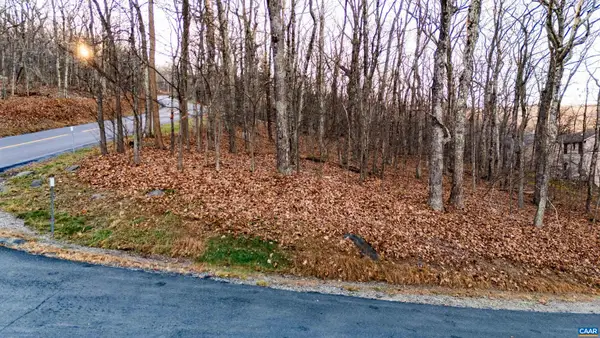 23 North Rock Tree Ln, WINTERGREEN RESORT, VA 22967