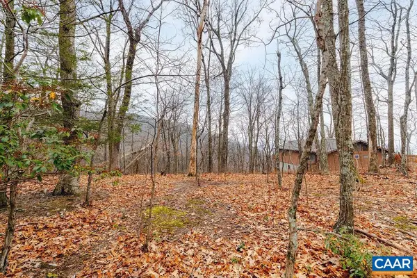 63 Gumtree Rd, WINTERGREEN RESORT, VA 22967