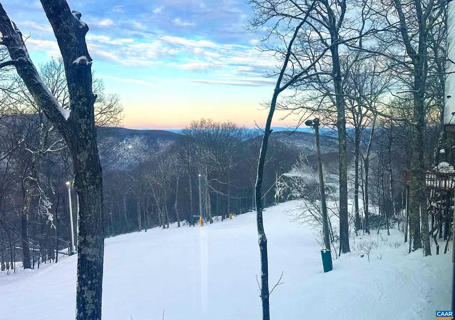 21 Tyro Ln, Wintergreen Resort, VA 22967 - #2