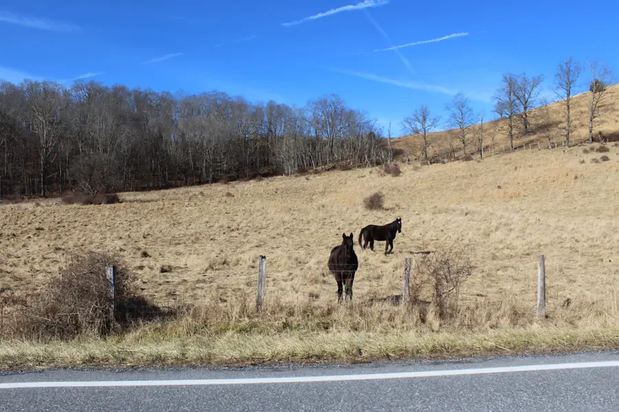 1004 Jackson River Tpke, Monterey, VA 24465 - Image #2