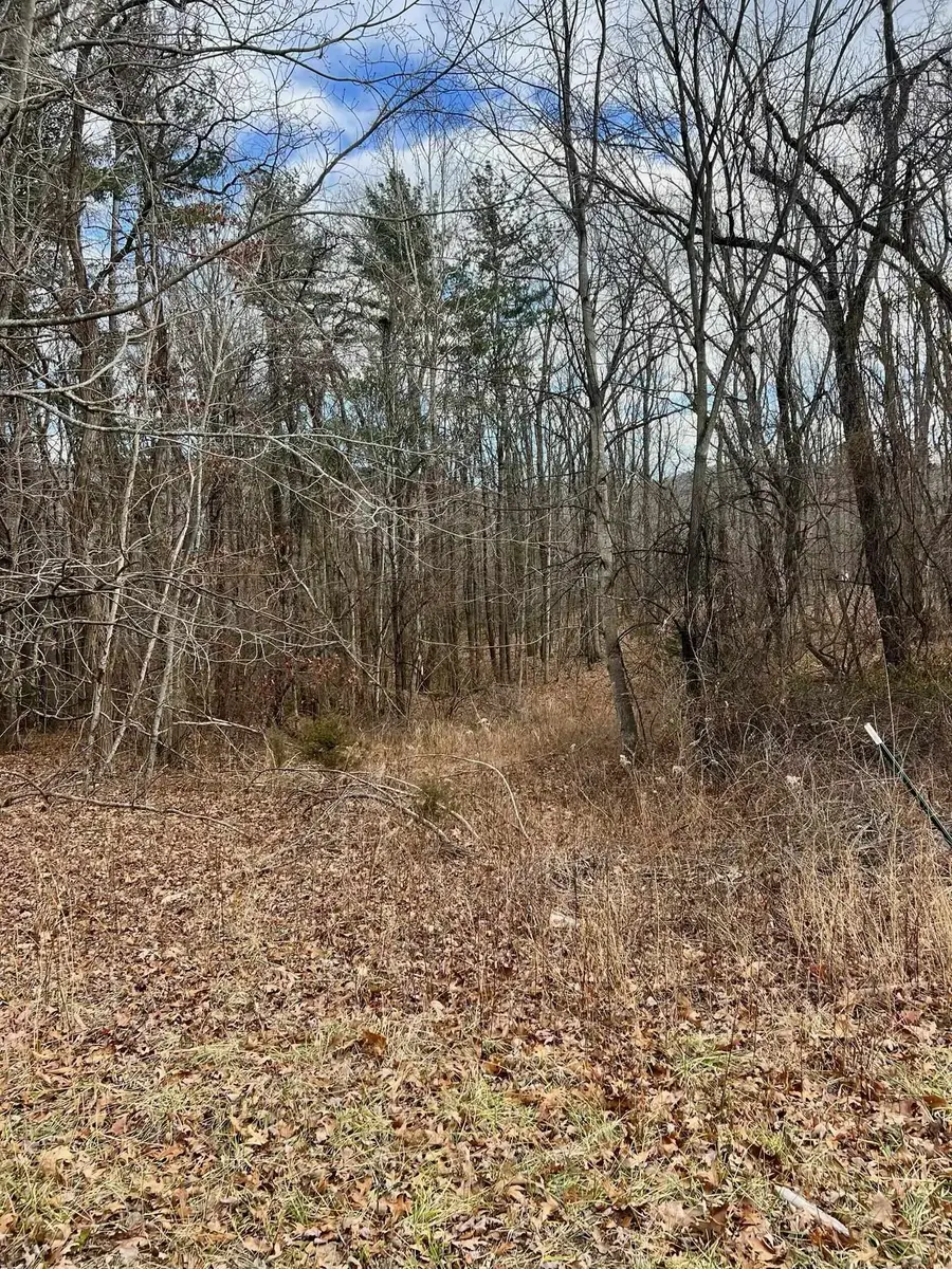 TBD Kaolin Spring Ln, Greenville, VA 24440 - #3