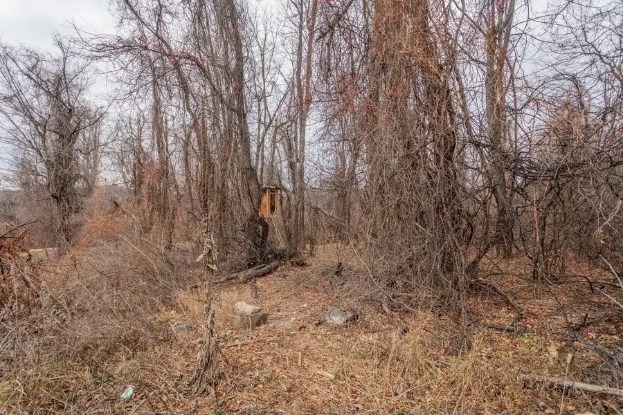 0 Short Cut Rd, Stanley, VA 22851 - Image #3