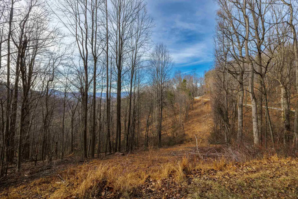TBD Hensley Hollow, Elkton, VA 22827 - #1