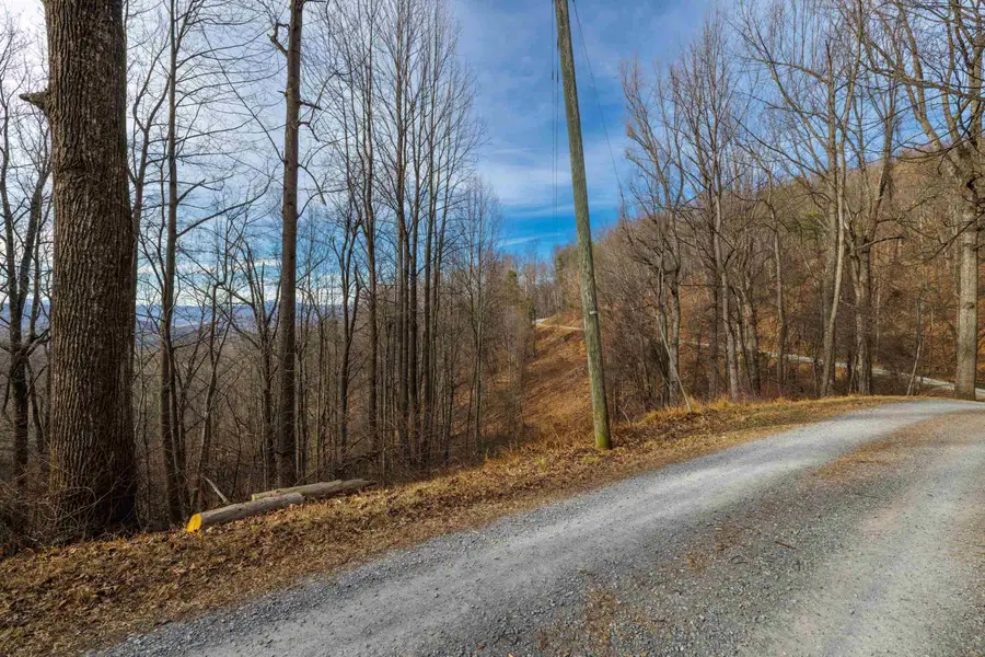 TBD Hensley Hollow, Elkton, VA 22827 - #2