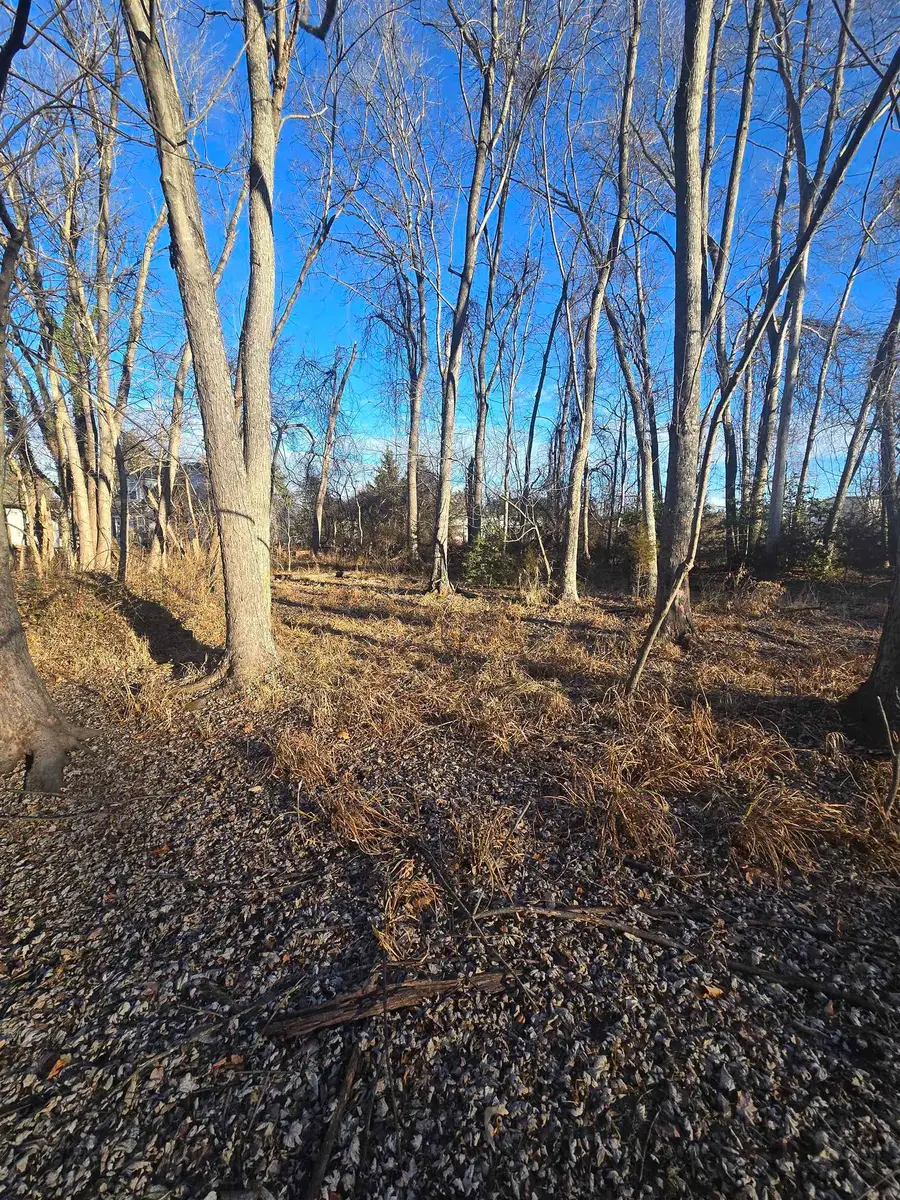 TBD Second St, Grottoes, VA 24441 - Image #3