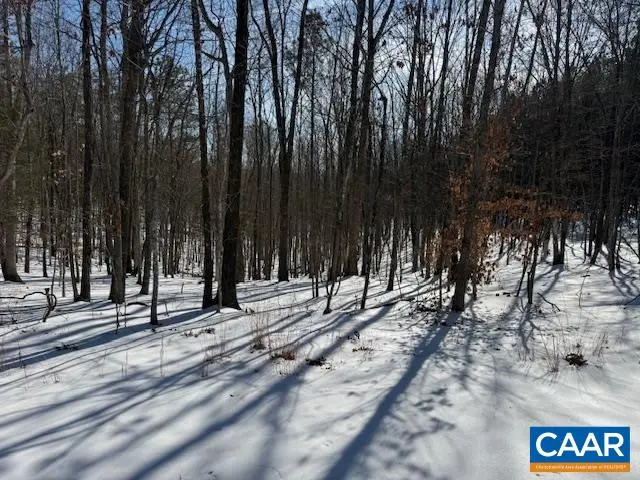 Redbird Ln, Gladstone, VA 24553 - #1